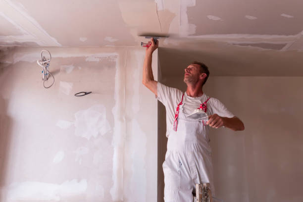 Best Water-Damaged Drywall Repair  in Rosemont, CA